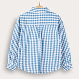 Button-down plaid shirt - blue