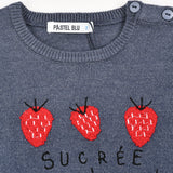 Sugar and Strawberry Sweater - Blue