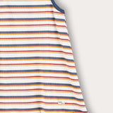 Striped saree - blue/yellow
